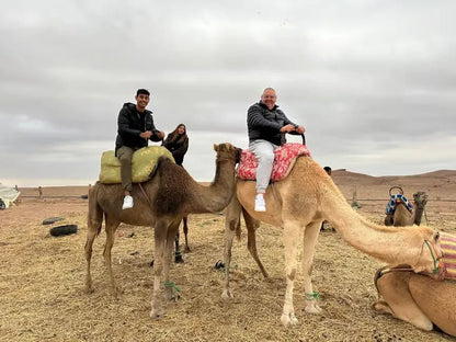 From Marrakech: Agafay Desert Quad Bike and Camel Ride Tour with Tea and Hotel Transfers