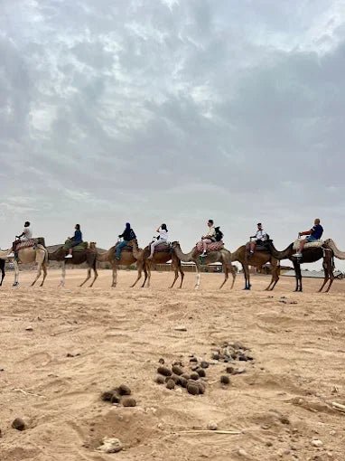 From Marrakech: Agafay Desert Quad Biking, Camel Ride, and Dinner with Fire Show