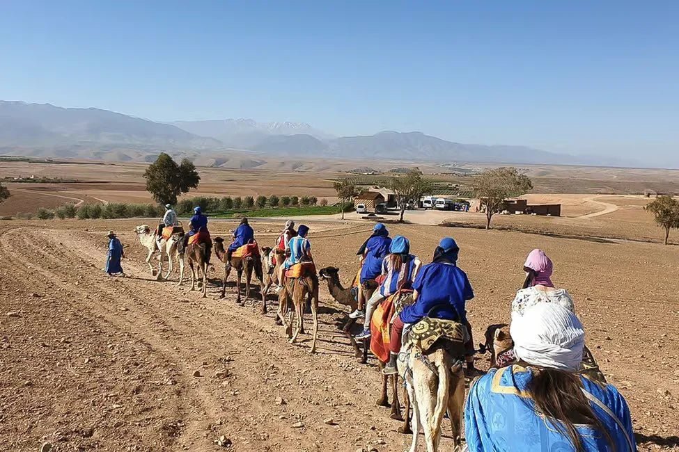 From Marrakech: Agafay Desert Sunset Camel Ride with Dinner