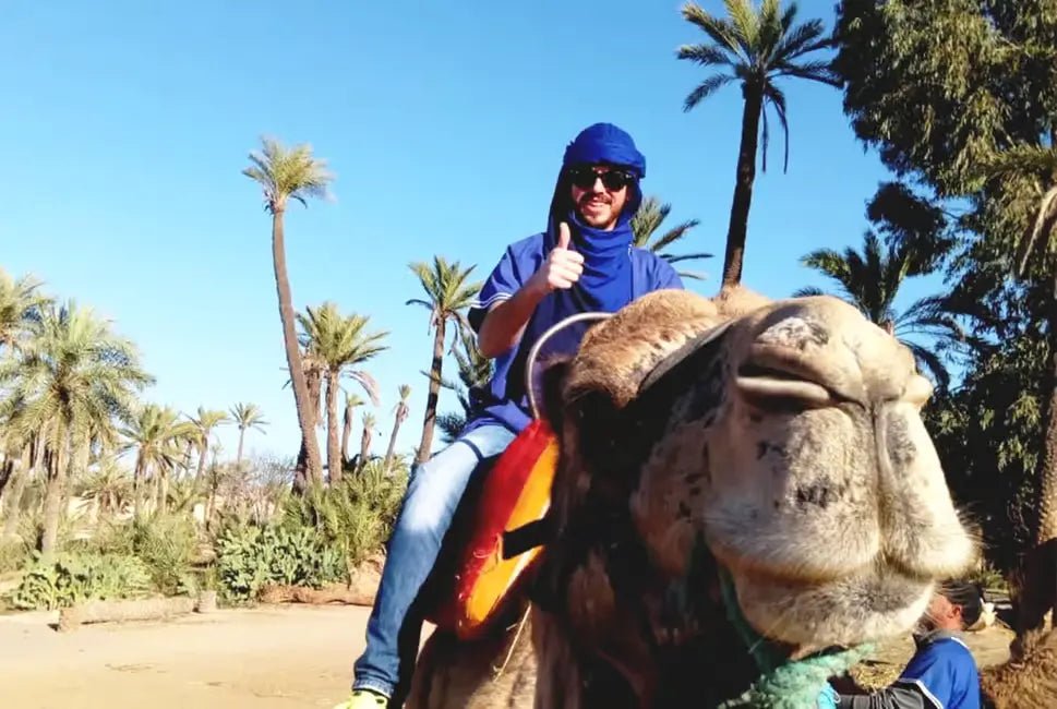 From Marrakech: Camel Ride and Quad Bike Experience in Palmeraie