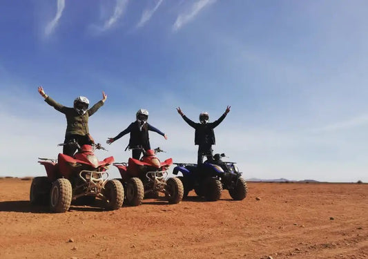 From Marrakech: Desert and Palm Grove Quad Bike Tour with Hotel Pickup