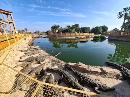 From Marrakech: Full - Day Trip to Agadir with Crocoparc and Beach Visit