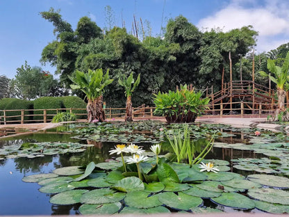 From Marrakech: Full - Day Trip to Agadir with Crocoparc and Beach Visit