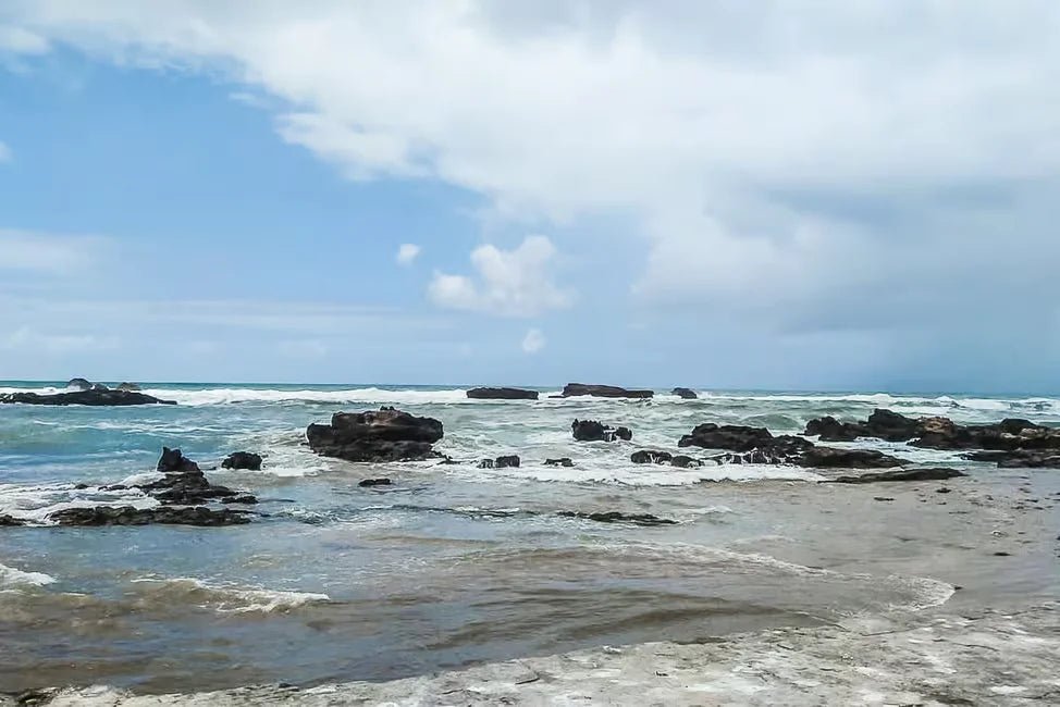 From Marrakech: Full - Day Trip to Essaouira with Hotel Pickup