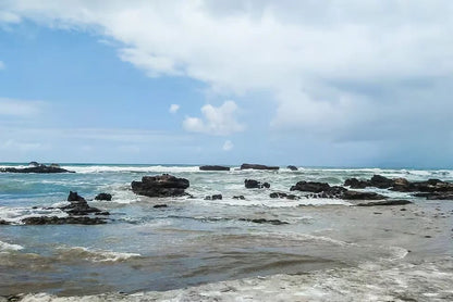 From Marrakech: Full - Day Trip to Essaouira with Hotel Pickup