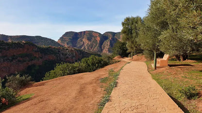 From Marrakech: Full‑Day Ouzoud Waterfalls Tour with Boat Trip