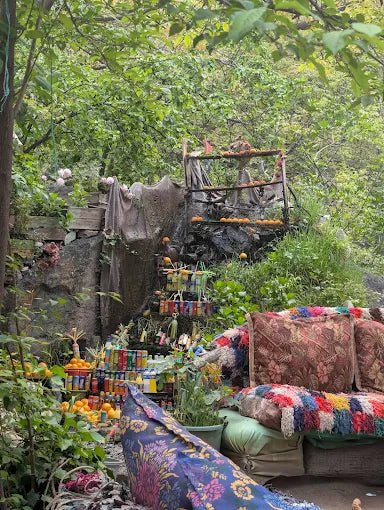 From Marrakech: Ourika Valley Day Trip with Guided Waterfall Hike and Lunch
