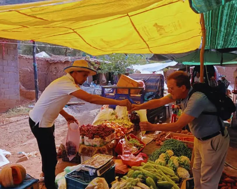From Marrakech: Ourika Valley Day Trip with Waterfalls and Argan Cooperative Visit