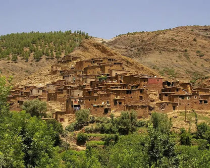 From Marrakech: Ourika Valley Day Trip with Waterfalls and Argan Cooperative Visit