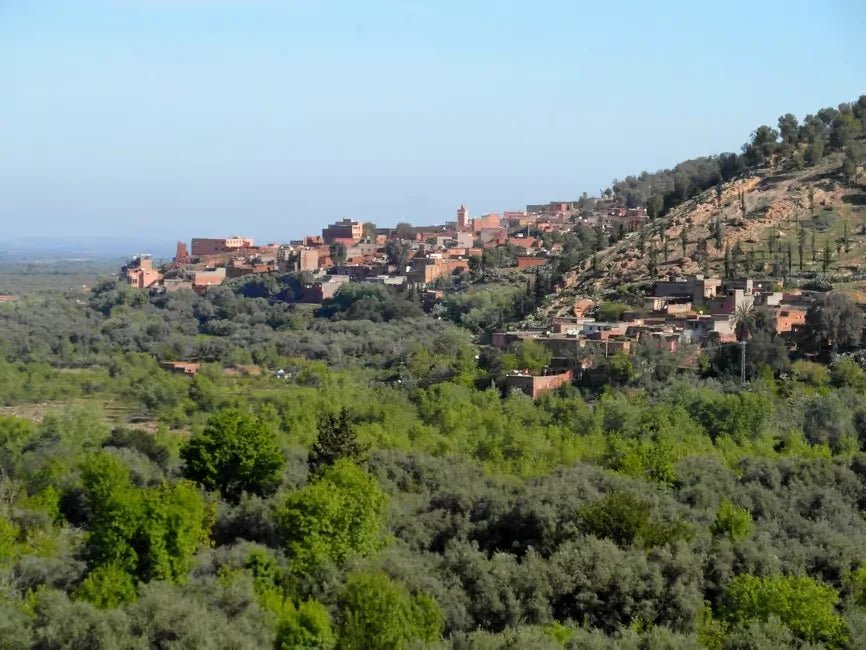 From Marrakech: Ourika Valley Day with Guided Waterfall Hike