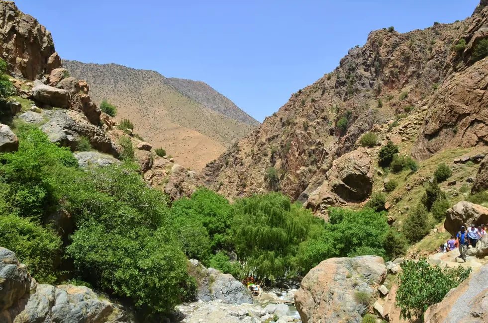 From Marrakech: Ourika Valley Day with Guided Waterfall Hike