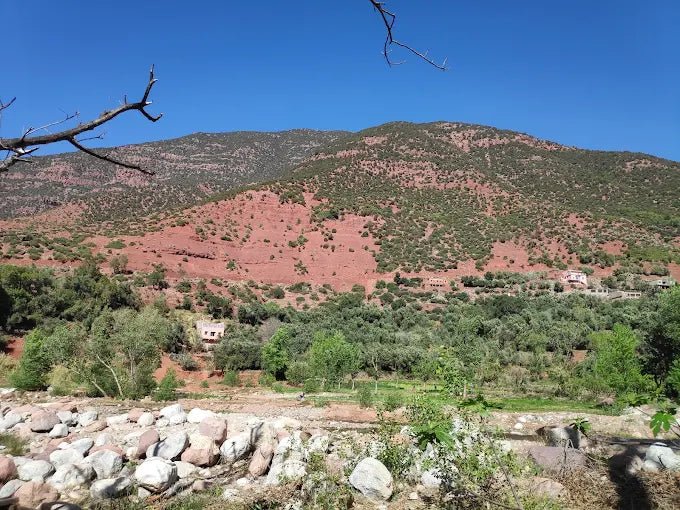 From Marrakech: Ourika Valley Waterfalls Day Trip with Lunch and Argan Oil Visit
