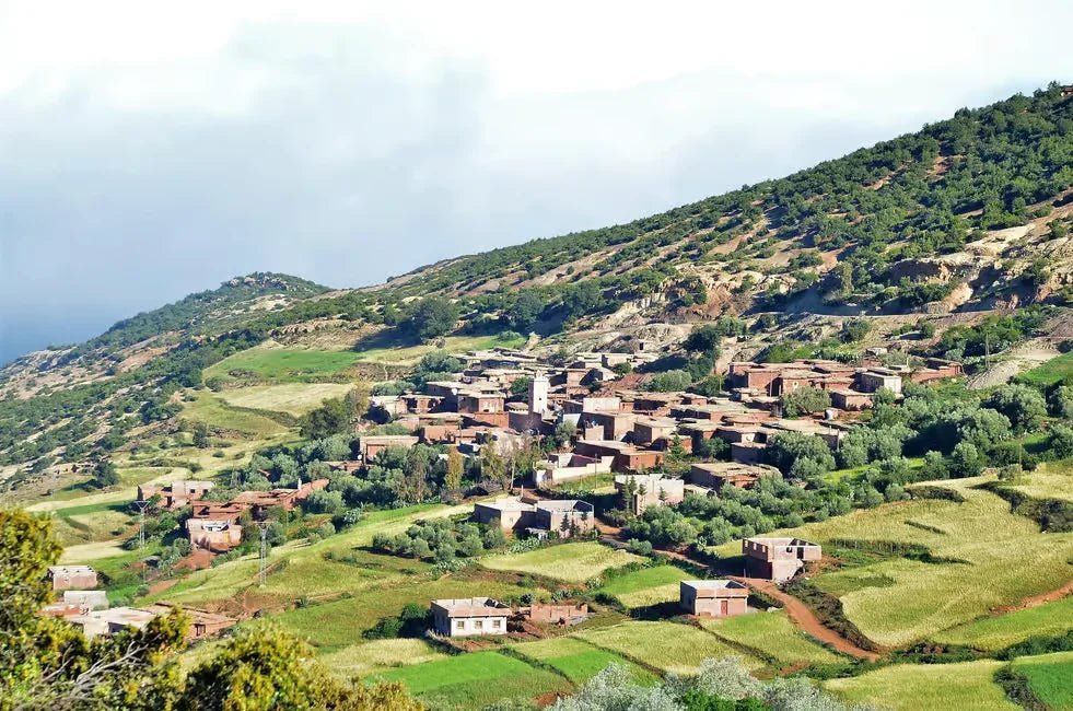 From Marrakech: Ourika Valley Waterfalls Day Trip with Lunch and Argan Oil Visit