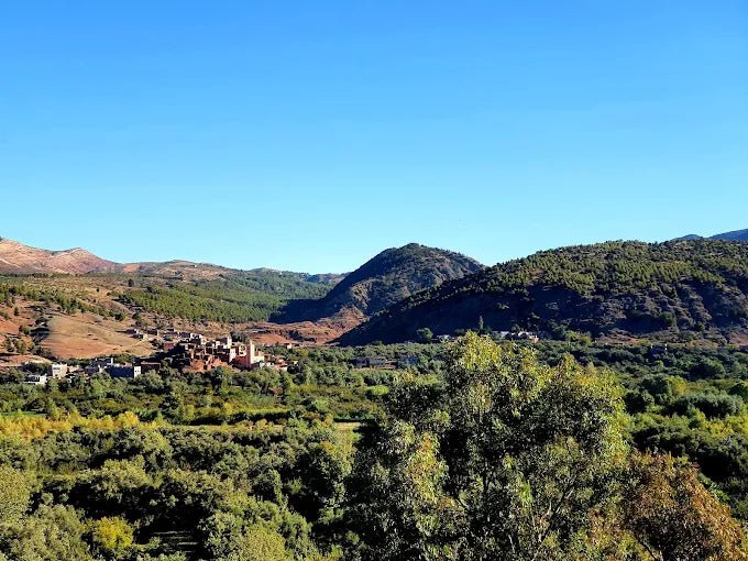 From Marrakech: Ourika Valley Waterfalls Day Trip with Lunch and Argan Oil Visit