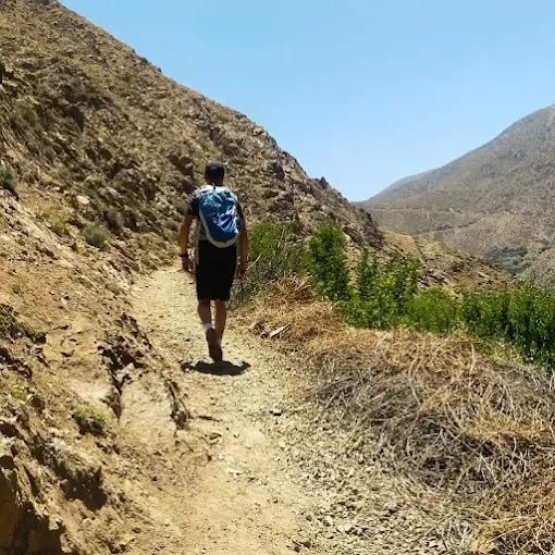 From Marrakech: Ourika Valley Waterfalls Day Trip with Lunch and Argan Oil Visit