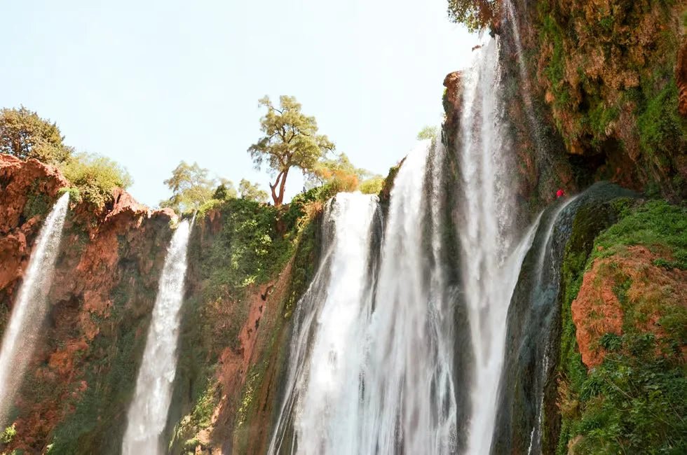 From Marrakech: Ouzoud Waterfalls Day Trip with Optional Boat Ride