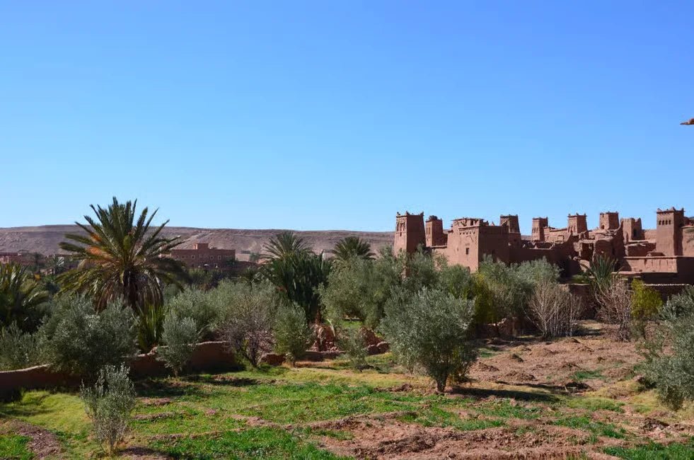 From Marrakech: Private Day Trip to Ait Ben Haddou and Ouarzazate