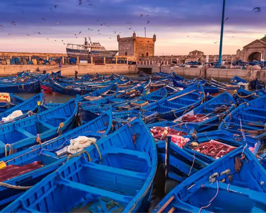 From Marrakech: Private Day Trip to Essaouira with Hotel Pickup