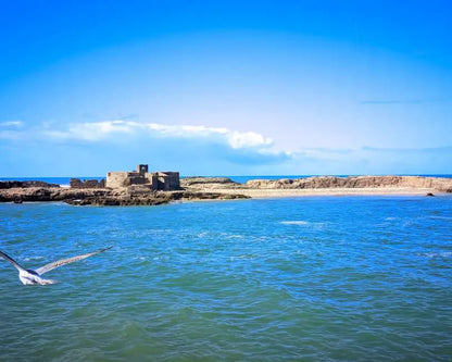From Marrakech: Private Day Trip to Essaouira with Hotel Pickup