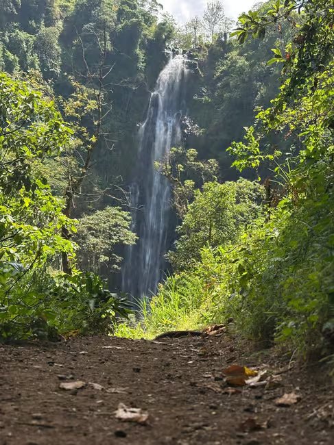 From Moshi or Arusha: Materuni Waterfall and Chemka Hot Springs Tour