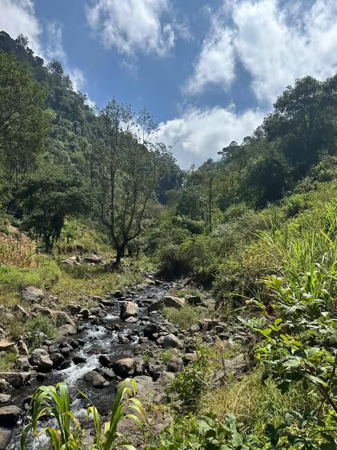From Moshi or Arusha: Materuni Waterfall and Chemka Hot Springs Tour