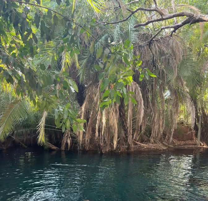 From Moshi or Arusha: Materuni Waterfall and Chemka Hot Springs Tour