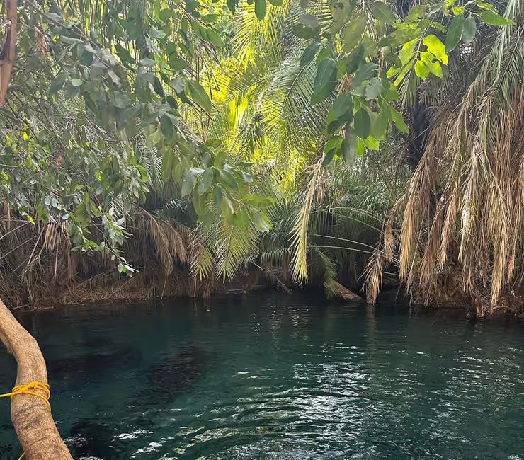 From Moshi or Arusha: Materuni Waterfall and Chemka Hot Springs Tour