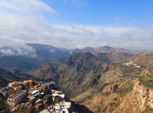From Muscat: 5 Guided Tours Including Desert Safari, Wadi Shab & Snorkeling with Turtles