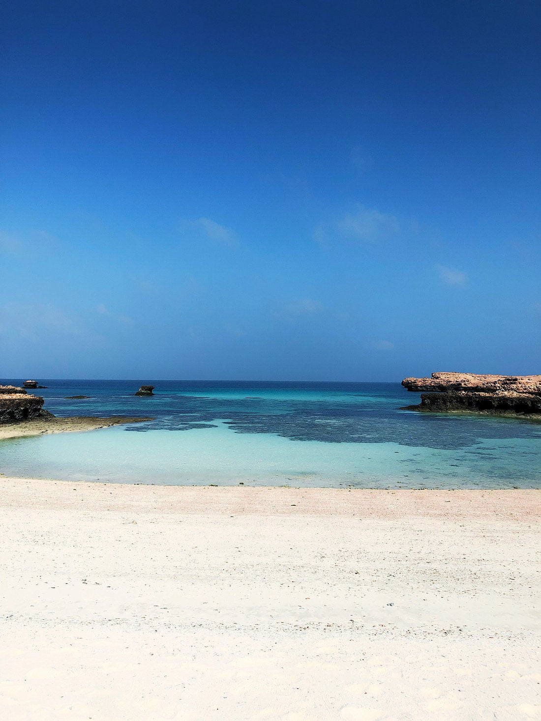 From Muscat: 5 Guided Tours Including Desert Safari, Wadi Shab & Snorkeling with Turtles