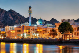 From Muscat: 5 Guided Tours Including Desert Safari, Wadi Shab & Snorkeling with Turtles