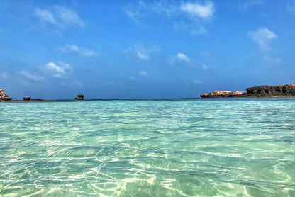From Muscat: 5 Guided Tours Including Desert Safari, Wadi Shab & Snorkeling with Turtles