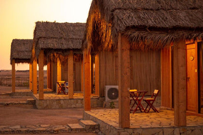From Muscat: 8 - Day Private Oman Tour to Wadis, Desert, Mountains, and Forts