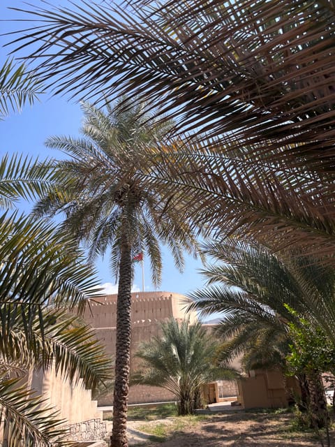 From Muscat: Nizwa Fort, Bahla, Jabreen or Oman Across Ages Museum