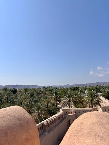 From Muscat: Nizwa Fort, Bahla, Jabreen or Oman Across Ages Museum