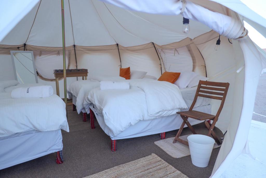 From Muscat: Private Overnight Wahiba Sands Safari and Wadi Bani Khalid Tour
