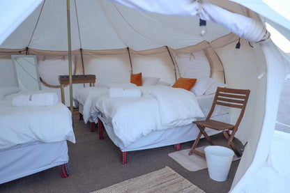 From Muscat: Private Overnight Wahiba Sands Safari and Wadi Bani Khalid Tour