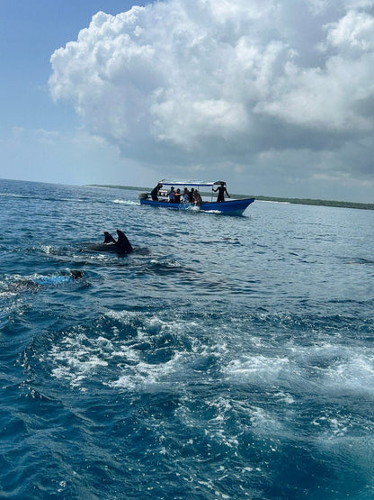 From Nungwi or Kendwa: Dolphin and Tumbatu Island Snorkeling Tour