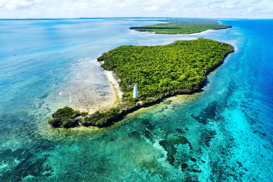 From Nungwi or Kendwa: Dolphin and Tumbatu Island Snorkeling Tour