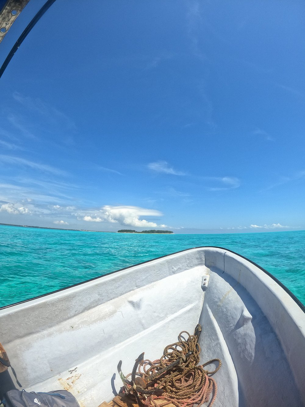 From Nungwi or Kendwa: Dolphin and Tumbatu Island Snorkeling Tour
