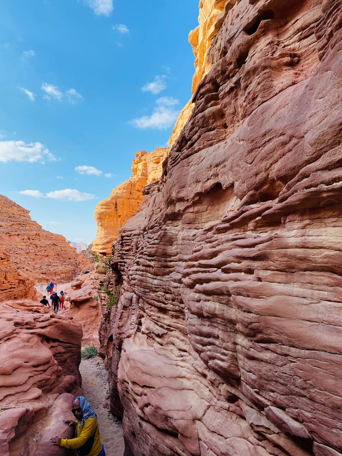 From Sharm El Sheikh: Colored Salama Canyon & Snorkeling at Dahab