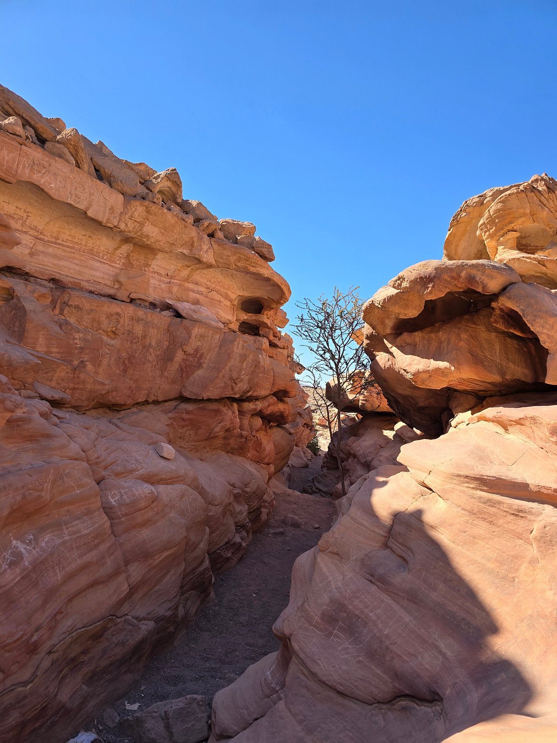 From Sharm El Sheikh: Colored Salama Canyon & Snorkeling at Dahab