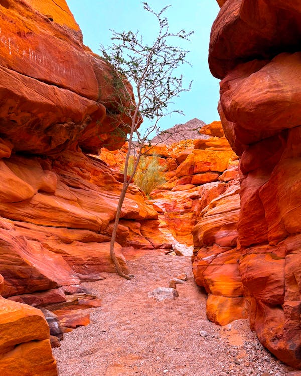 From Sharm El Sheikh: Day Trip to Dahab Colored Canyon and Blue Hole with Snorkeling