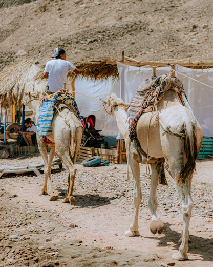 From Sharm El Sheikh: Day Trip to Dahab Colored Canyon and Blue Hole with Snorkeling