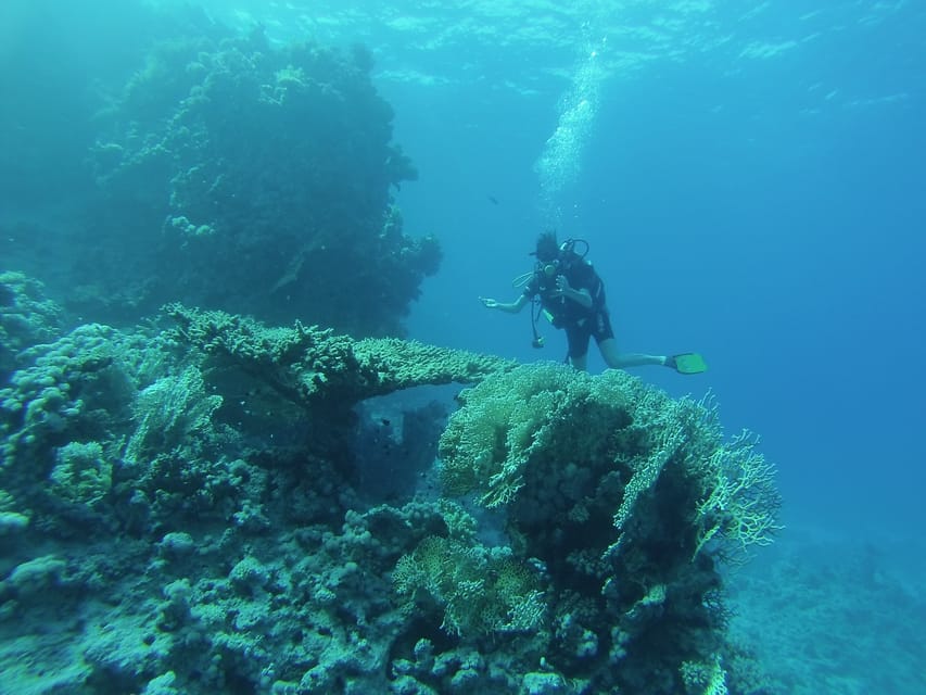 From Sharm El Sheikh or Dahab: Blue Hole and Canyon Diving Experience