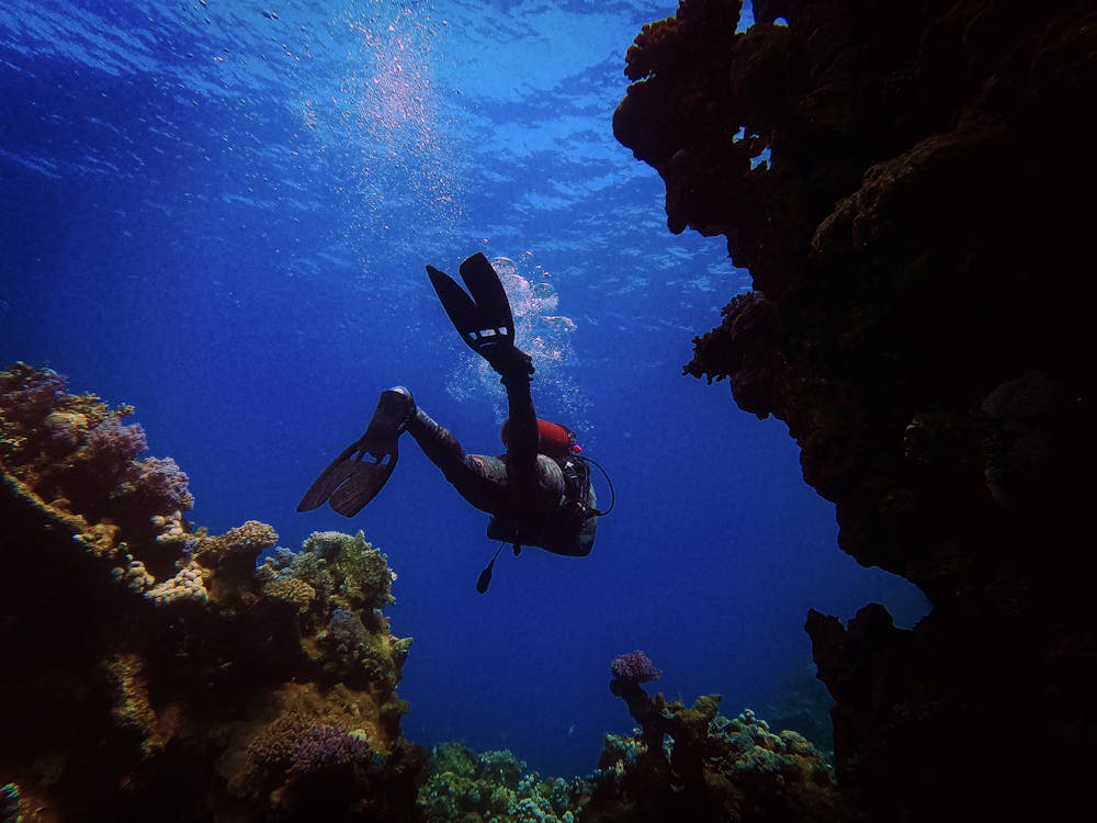 From Sharm El Sheikh or Dahab: Blue Hole and Canyon Diving Experience