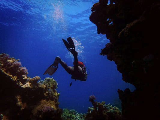 From Sharm El Sheikh or Dahab: Blue Hole and Canyon Diving Experience