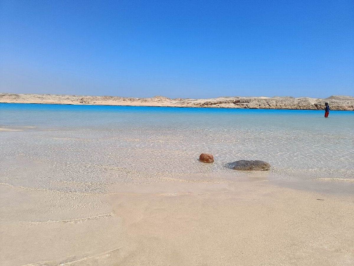 From Sharm El Sheikh: Ras Mohammed National Park Half Day Tour by Bus