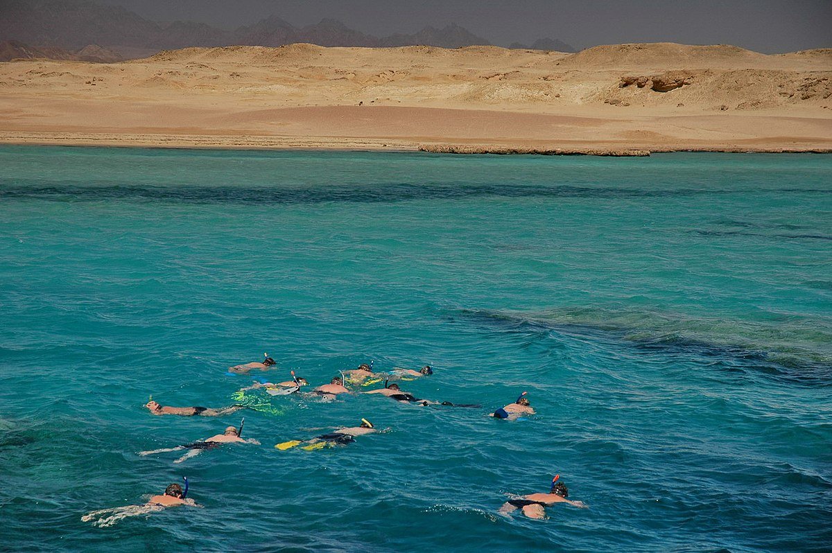 From Sharm El Sheikh: Ras Mohammed National Park Half Day Tour by Bus