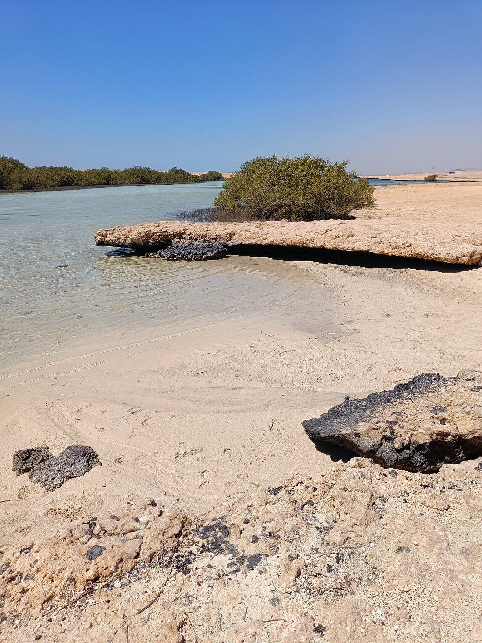 From Sharm El Sheikh: Ras Mohammed National Park Half Day Tour by Bus