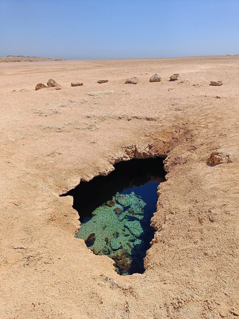 From Sharm El Sheikh: Ras Mohammed National Park Half Day Tour by Bus